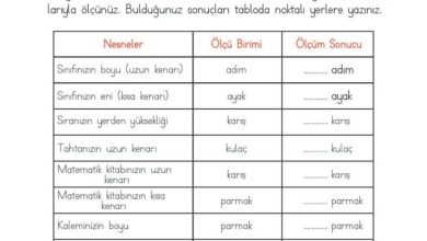 2. Sınıf Matematik Meb Yayınları Sayfa 262 Cevapları