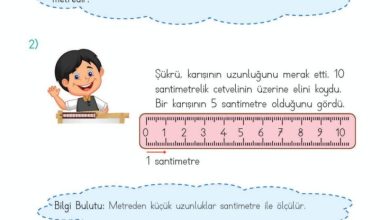 2. Sınıf Matematik Meb Yayınları Sayfa 264 Cevapları