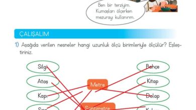 2. Sınıf Matematik Meb Yayınları Sayfa 265 Cevapları