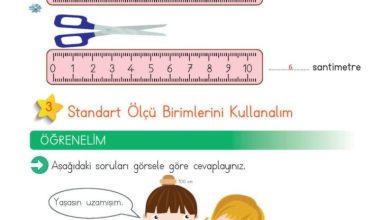 2. Sınıf Matematik Meb Yayınları Sayfa 266 Cevapları