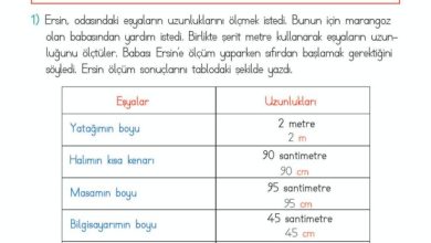 2. Sınıf Matematik Meb Yayınları Sayfa 267 Cevapları