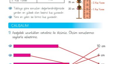 2. Sınıf Matematik Meb Yayınları Sayfa 268 Cevapları