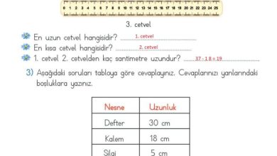 2. Sınıf Matematik Meb Yayınları Sayfa 269 Cevapları