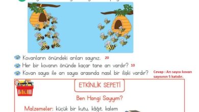 2. Sınıf Matematik Meb Yayınları Sayfa 27 Cevapları