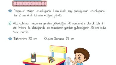 2. Sınıf Matematik Meb Yayınları Sayfa 271 Cevapları