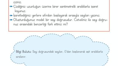 2. Sınıf Matematik Meb Yayınları Sayfa 274 Cevapları