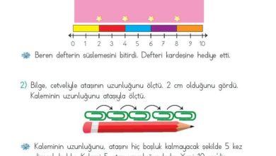 2. Sınıf Matematik Meb Yayınları Sayfa 275 Cevapları