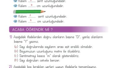 2. Sınıf Matematik Meb Yayınları Sayfa 276 Cevapları