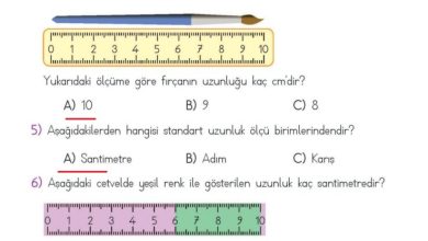 2. Sınıf Matematik Meb Yayınları Sayfa 277 Cevapları