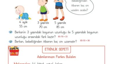 2. Sınıf Matematik Meb Yayınları Sayfa 278 Cevapları