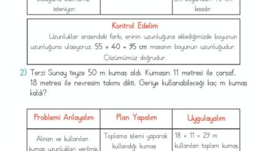 2. Sınıf Matematik Meb Yayınları Sayfa 279 Cevapları