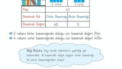 2. Sınıf Matematik Meb Yayınları Sayfa 28 Cevapları