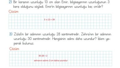 2. Sınıf Matematik Meb Yayınları Sayfa 280 Cevapları