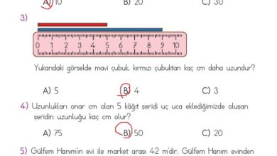 2. Sınıf Matematik Meb Yayınları Sayfa 281 Cevapları