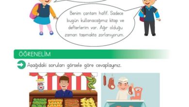 2. Sınıf Matematik Meb Yayınları Sayfa 282 Cevapları