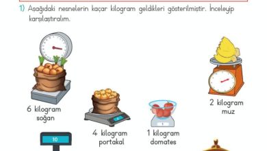 2. Sınıf Matematik Meb Yayınları Sayfa 283 Cevapları