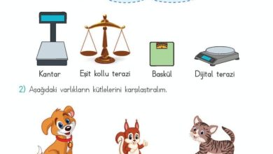 2. Sınıf Matematik Meb Yayınları Sayfa 284 Cevapları