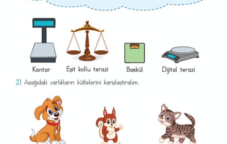 2. Sınıf Matematik Meb Yayınları Sayfa 284 Cevapları