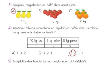 2. Sınıf Matematik Meb Yayınları Sayfa 286 Cevapları