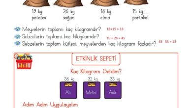 2. Sınıf Matematik Meb Yayınları Sayfa 287 Cevapları