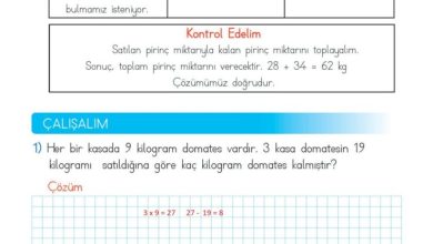 2. Sınıf Matematik Meb Yayınları Sayfa 288 Cevapları