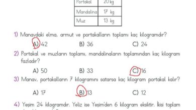 2. Sınıf Matematik Meb Yayınları Sayfa 289 Cevapları