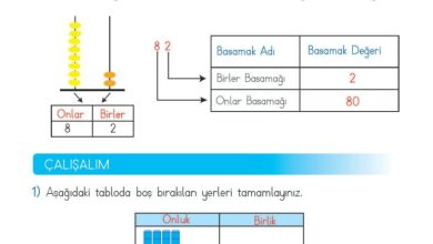 2. Sınıf Matematik Meb Yayınları Sayfa 29 Cevapları