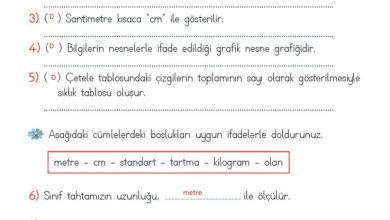 2. Sınıf Matematik Meb Yayınları Sayfa 290 Cevapları