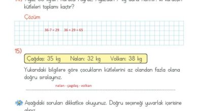 2. Sınıf Matematik Meb Yayınları Sayfa 291 Cevapları