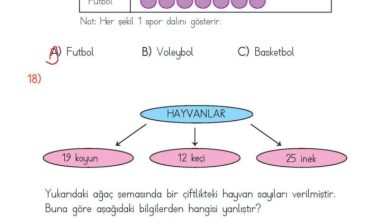 2. Sınıf Matematik Meb Yayınları Sayfa 292 Cevapları