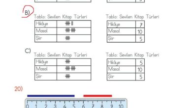 2. Sınıf Matematik Meb Yayınları Sayfa 293 Cevapları