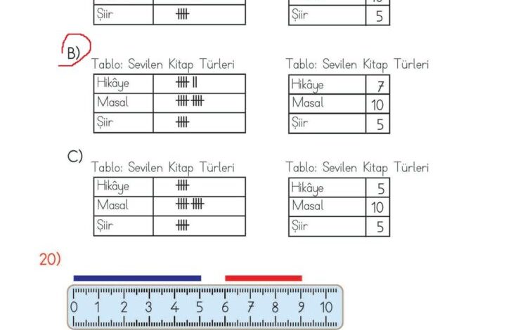 2. Sınıf Matematik Meb Yayınları Sayfa 293 Cevapları