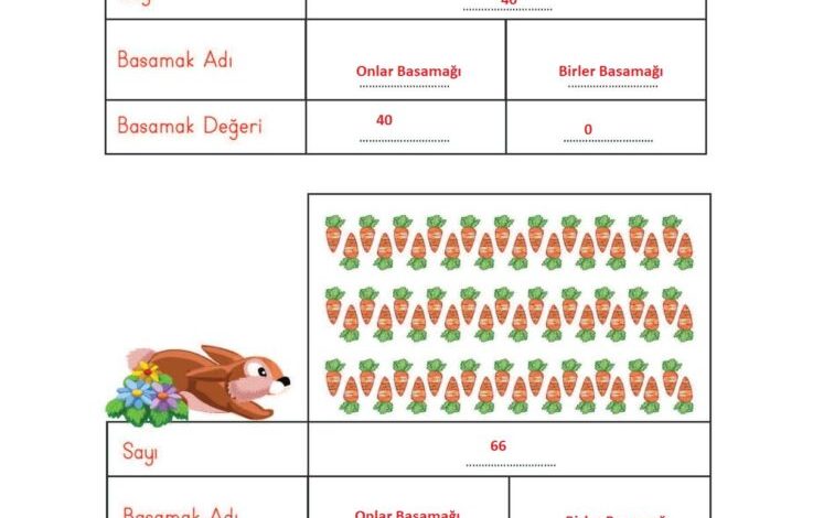 2. Sınıf Matematik Meb Yayınları Sayfa 30 Cevapları