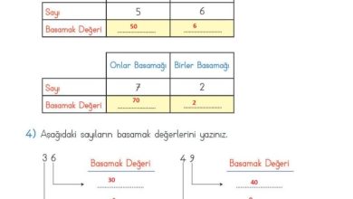 2. Sınıf Matematik Meb Yayınları Sayfa 31 Cevapları