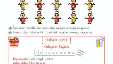 2. Sınıf Matematik Meb Yayınları Sayfa 34 Cevapları