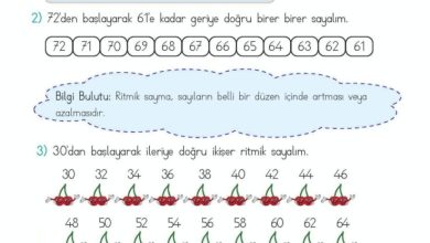 2. Sınıf Matematik Meb Yayınları Sayfa 35 Cevapları