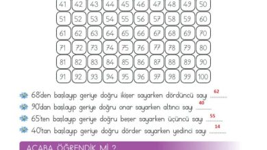 2. Sınıf Matematik Meb Yayınları Sayfa 39 Cevapları