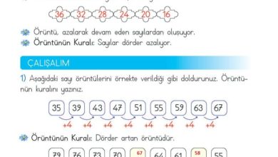 2. Sınıf Matematik Meb Yayınları Sayfa 41 Cevapları