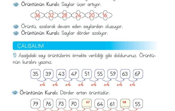 2. Sınıf Matematik Meb Yayınları Sayfa 41 Cevapları