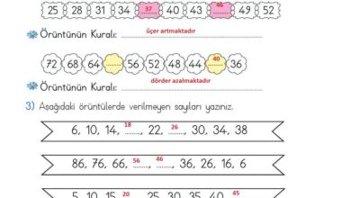 2. Sınıf Matematik Meb Yayınları Sayfa 42 Cevapları