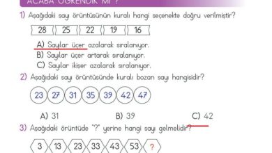 2. Sınıf Matematik Meb Yayınları Sayfa 43 Cevapları