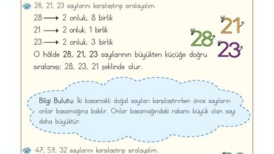 2. Sınıf Matematik Meb Yayınları Sayfa 45 Cevapları