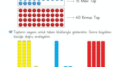 2. Sınıf Matematik Meb Yayınları Sayfa 46 Cevapları