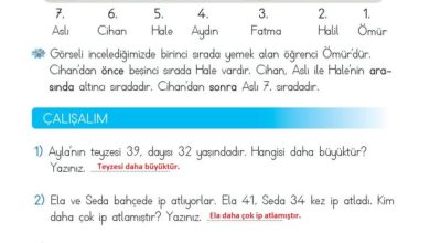 2. Sınıf Matematik Meb Yayınları Sayfa 48 Cevapları