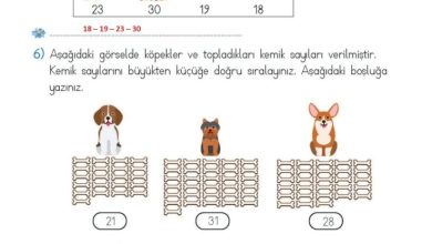 2. Sınıf Matematik Meb Yayınları Sayfa 49 Cevapları