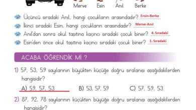 2. Sınıf Matematik Meb Yayınları Sayfa 50 Cevapları