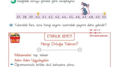 2. Sınıf Matematik Meb Yayınları Sayfa 51 Cevapları