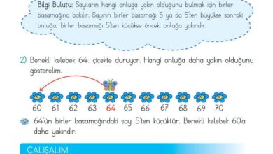 2. Sınıf Matematik Meb Yayınları Sayfa 52 Cevapları