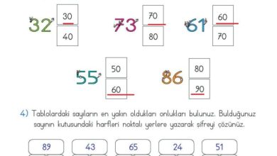 2. Sınıf Matematik Meb Yayınları Sayfa 53 Cevapları