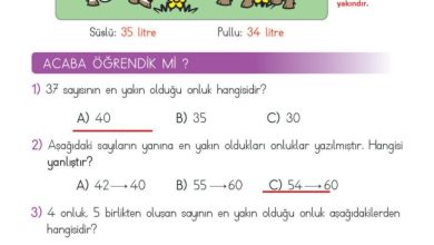 2. Sınıf Matematik Meb Yayınları Sayfa 54 Cevapları